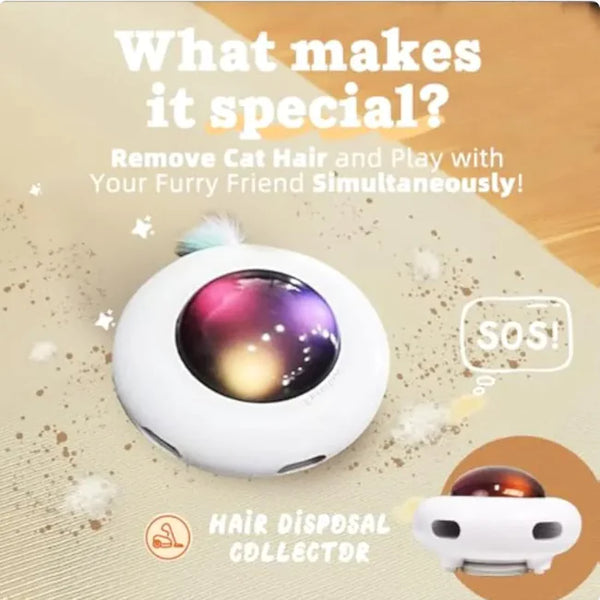 Interactive Cat Toy with hair collector