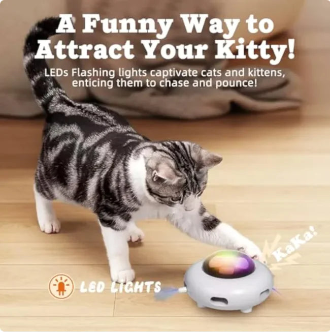 Interactive Cat Toy