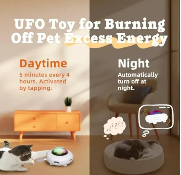 Interactive Cat Toy, day and night modes